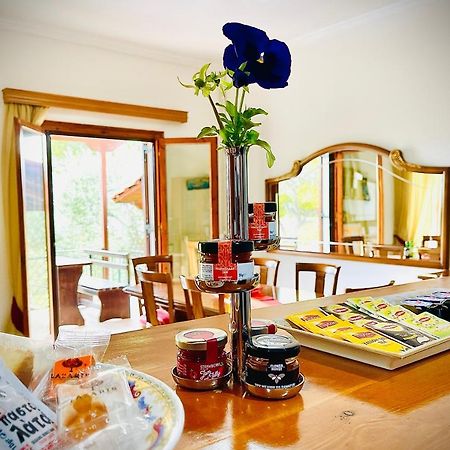 Villa Evita Corfu Дасия Екстериор снимка